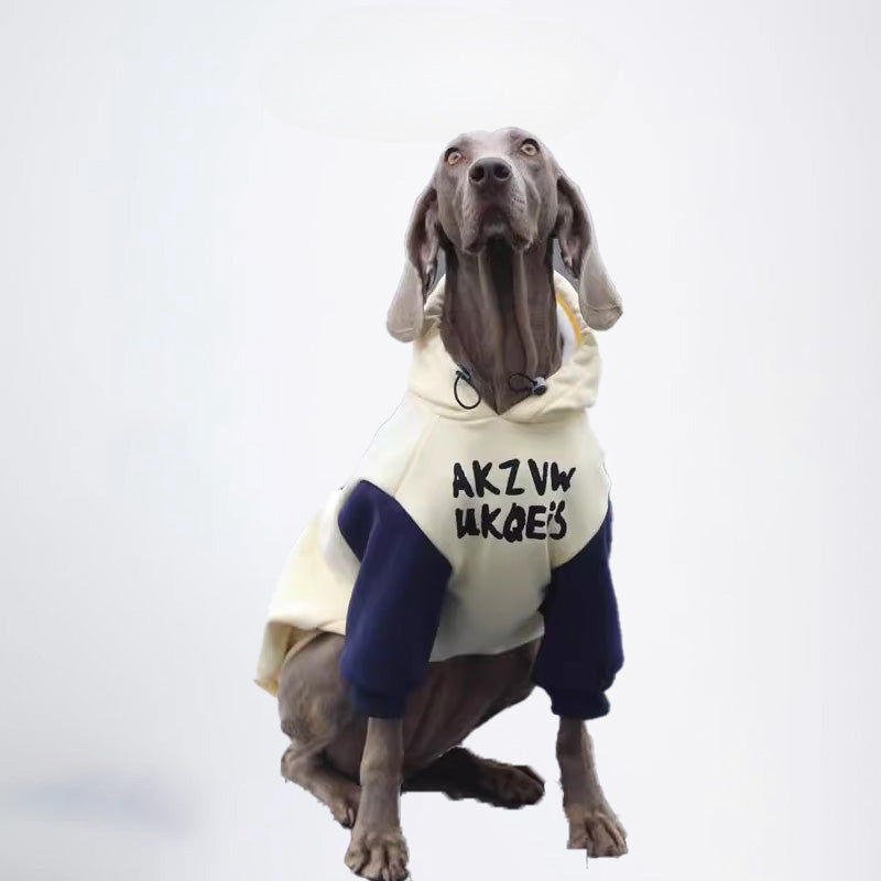 Dogs Clothes Pets Clothes Dogs Colors Matching Styled White And Blue Color Half Covered Styled Deisign Fashion Designer Dogs Clothes