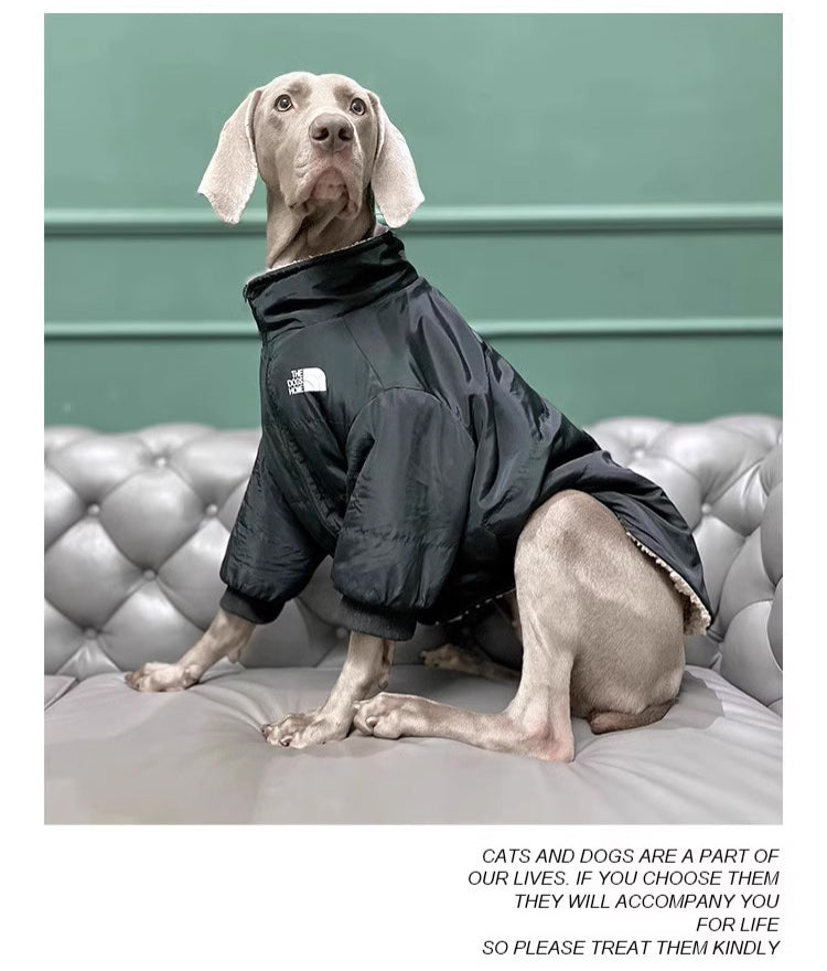 Pet dog cloth Dog outdoor jacket Winter Dog Clothing Pets Clothes Black, suitable for a birthday banquet. It features an elegant and backless design with a socialite style.