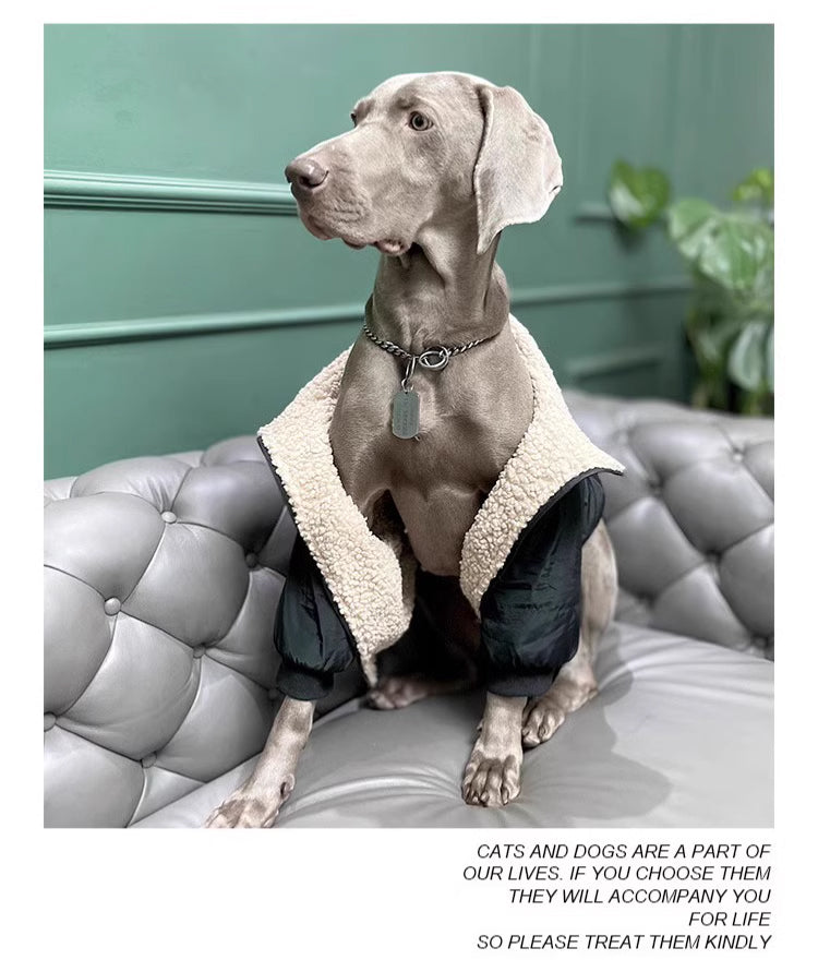 Pet dog cloth Dog outdoor jacket Winter Dog Clothing Pets Clothes Black, suitable for a birthday banquet. It features an elegant and backless design with a socialite style.