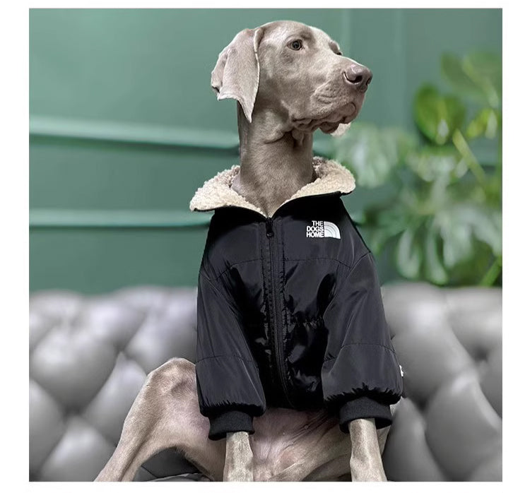 Pet dog cloth Dog outdoor jacket Winter Dog Clothing Pets Clothes Black, suitable for a birthday banquet. It features an elegant and backless design with a socialite style.