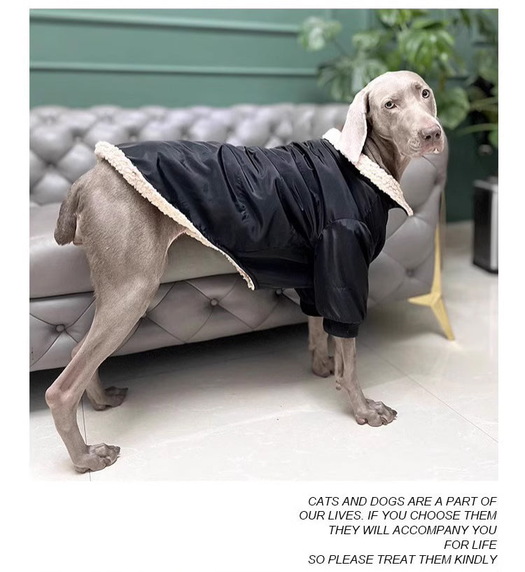 Pet dog cloth Dog outdoor jacket Winter Dog Clothing Pets Clothes Black, suitable for a birthday banquet. It features an elegant and backless design with a socialite style.