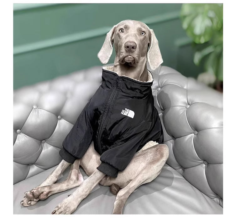 Pet dog cloth Dog outdoor jacket Winter Dog Clothing Pets Clothes Black, suitable for a birthday banquet. It features an elegant and backless design with a socialite style.