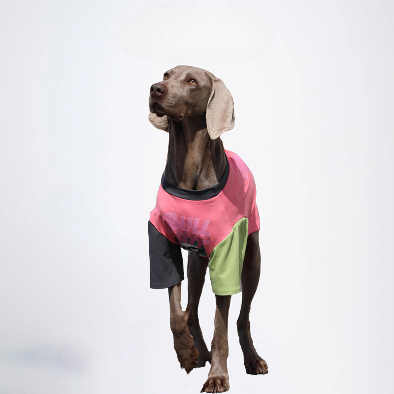 Pets Clothes Dog Cloth Dog Jacket All Covered Cloth Dopamine Color Dog Jacket Fashion Dog Cloth Fashion Pets Cloth