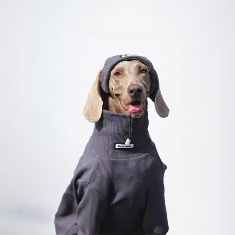 Dogs Clothes Pets Clothes Dogs Sweater Allcovered Styled Sweater Styled Deisign Fashion Designer Dogs Clothes