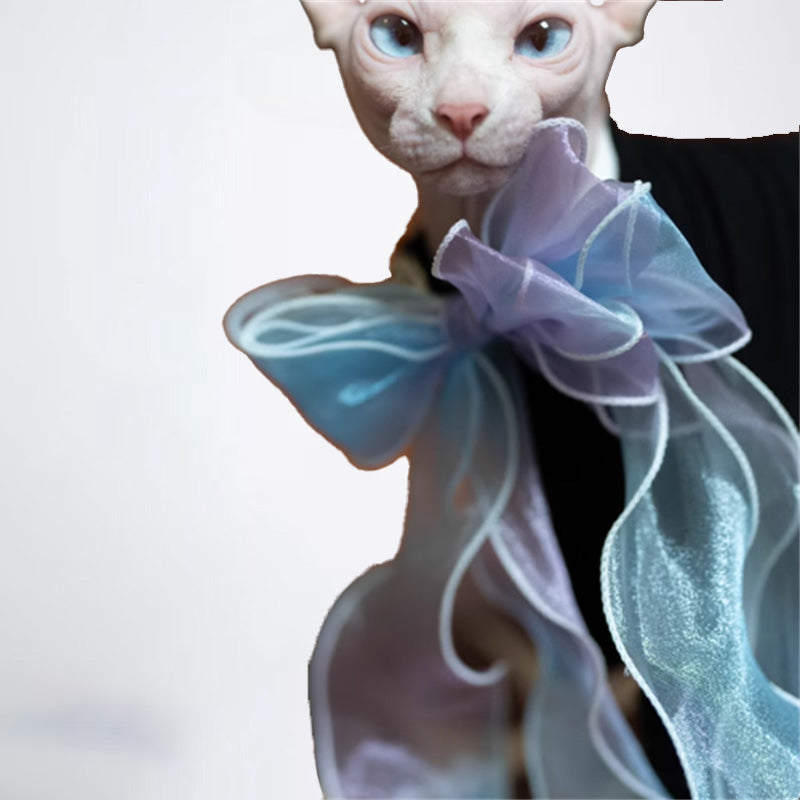 Cats Clothes Pets Cloth Pet Cloth Choker Sweater For Cats Original Designer Styled Clothing