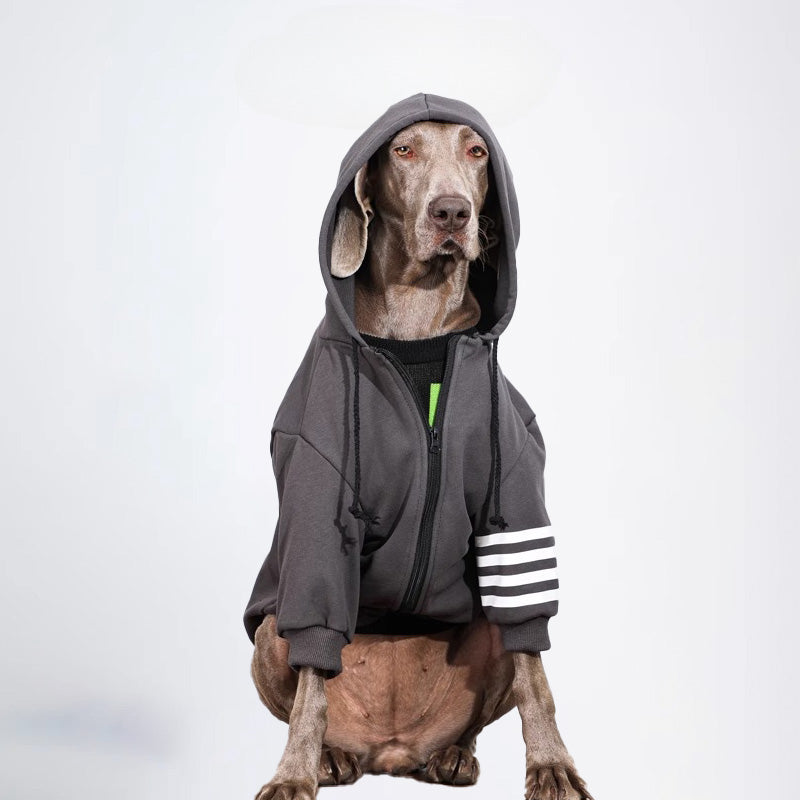 Dogs Clothes Pets Clothes Dogs Hooded Sweater Cardigan Sweater Gray Sweater Winter Dogs Hoddies Color All Covered Styled Deisign Fashion Designer Dogs Clothes