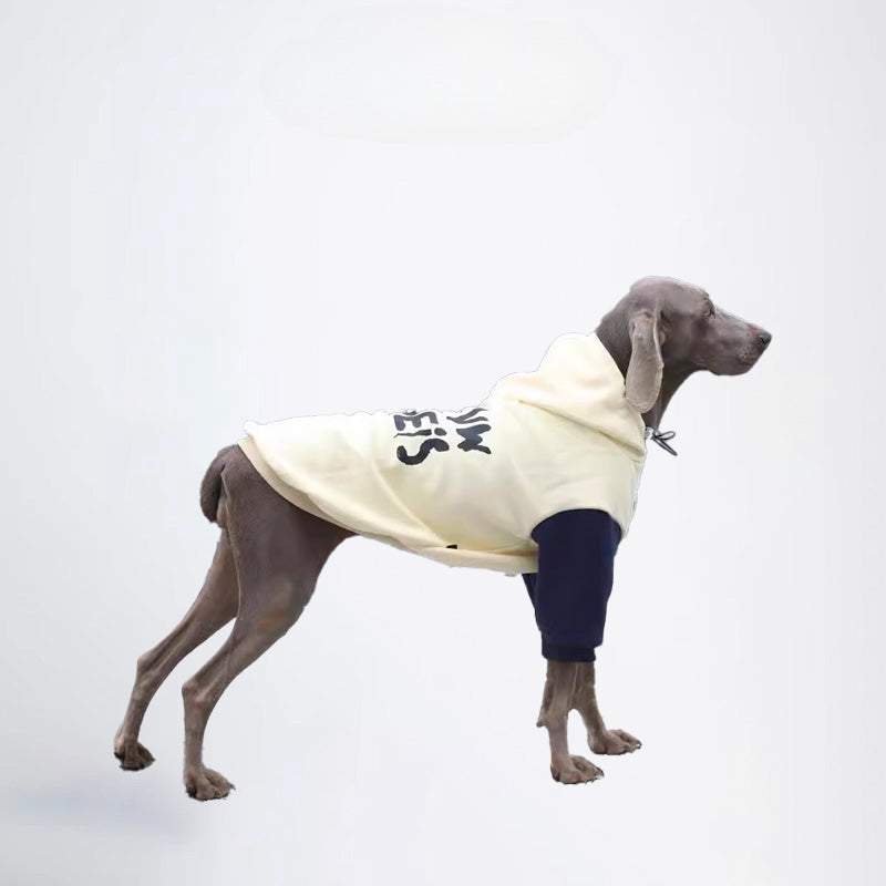 Dogs Clothes Pets Clothes Dogs Colors Matching Styled White And Blue Color Half Covered Styled Deisign Fashion Designer Dogs Clothes