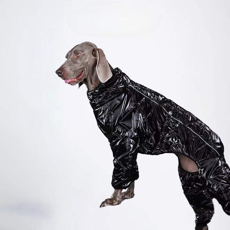 Dogs Clothes Pets Clothes For Winter Allcovered Styled Sweater Styled Deisign Fashion Designer Dogs Clothes