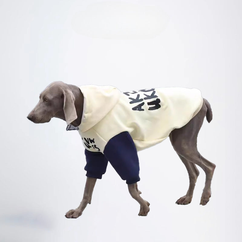 Dogs Clothes Pets Clothes Dogs Colors Matching Styled White And Blue Color Half Covered Styled Deisign Fashion Designer Dogs Clothes