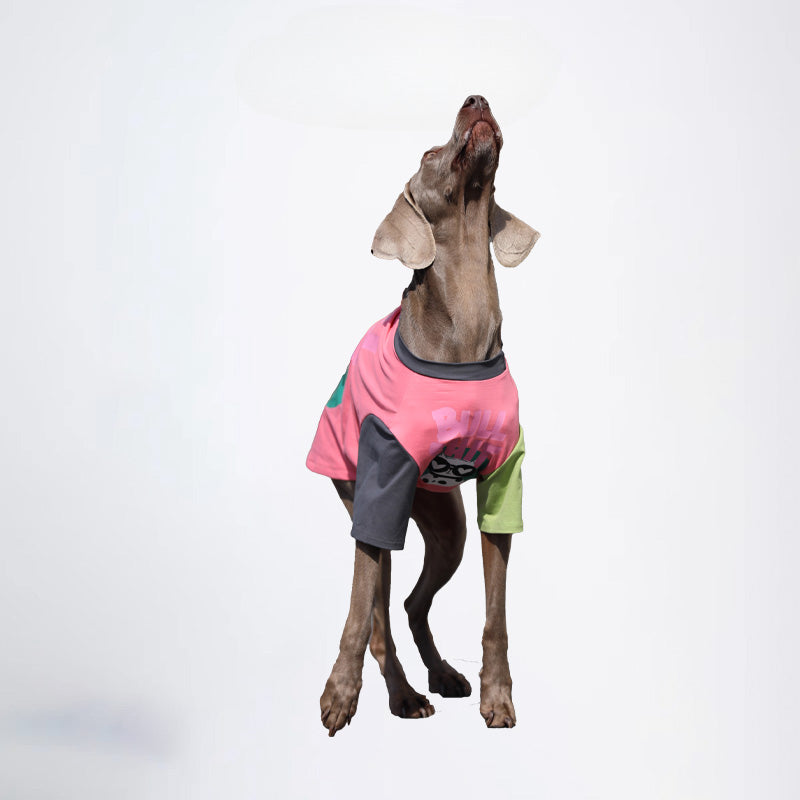 Pets Clothes Dog Cloth Dog Jacket All Covered Cloth Dopamine Color Dog Jacket Fashion Dog Cloth Fashion Pets Cloth