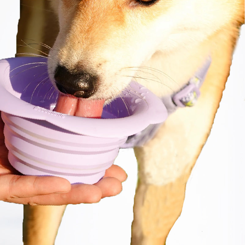 High-quality pet outdoor folding bowl, portable and lightweight, easy to clean, sturdy and durable, worry-free for on-the-go dining