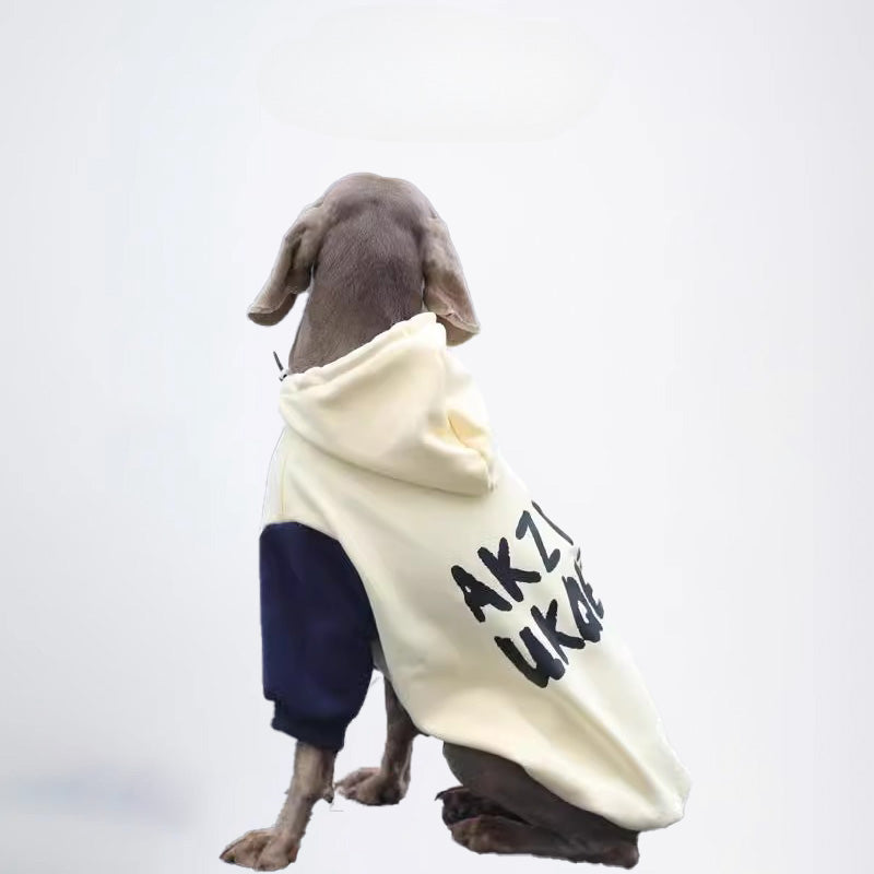 Dogs Clothes Pets Clothes Dogs Colors Matching Styled White And Blue Color Half Covered Styled Deisign Fashion Designer Dogs Clothes