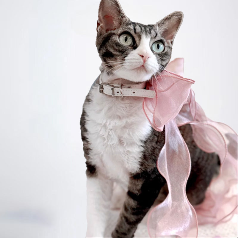 Cats Clothes Pets Cloth Pet Cloth Choker Sweater For Cats Original Designer Styled Clothing