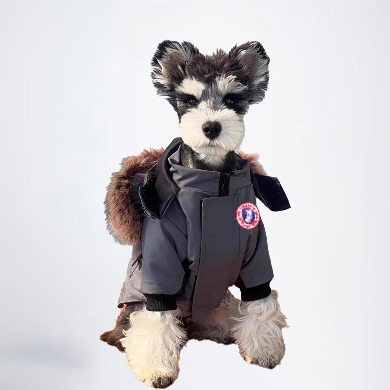 Dogs Jacket Pets Jacket Dog Cloth Dog Cloth All Covered Cloth Dog Clothes Dog Jacket Fashion Dog Cloth Fashion Pets Cloth