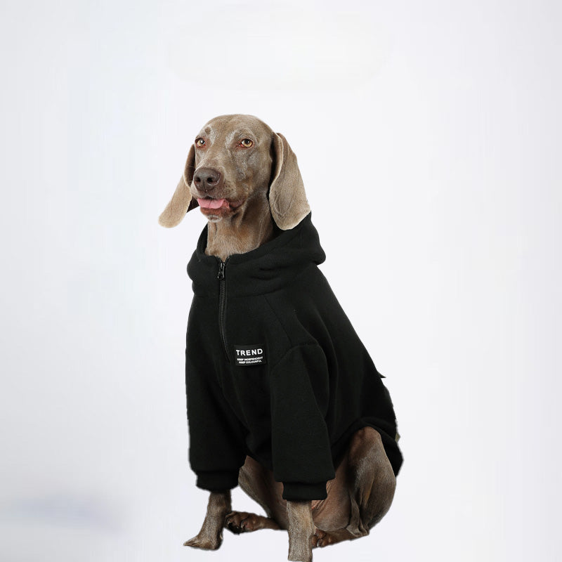 Dogs Green Clothes Pets Green Clothes Dogs Sweater Glossy Styled For Winter Allcovered Styled Sweater Styled Deisign Fashion Designer Dogs Clothes
