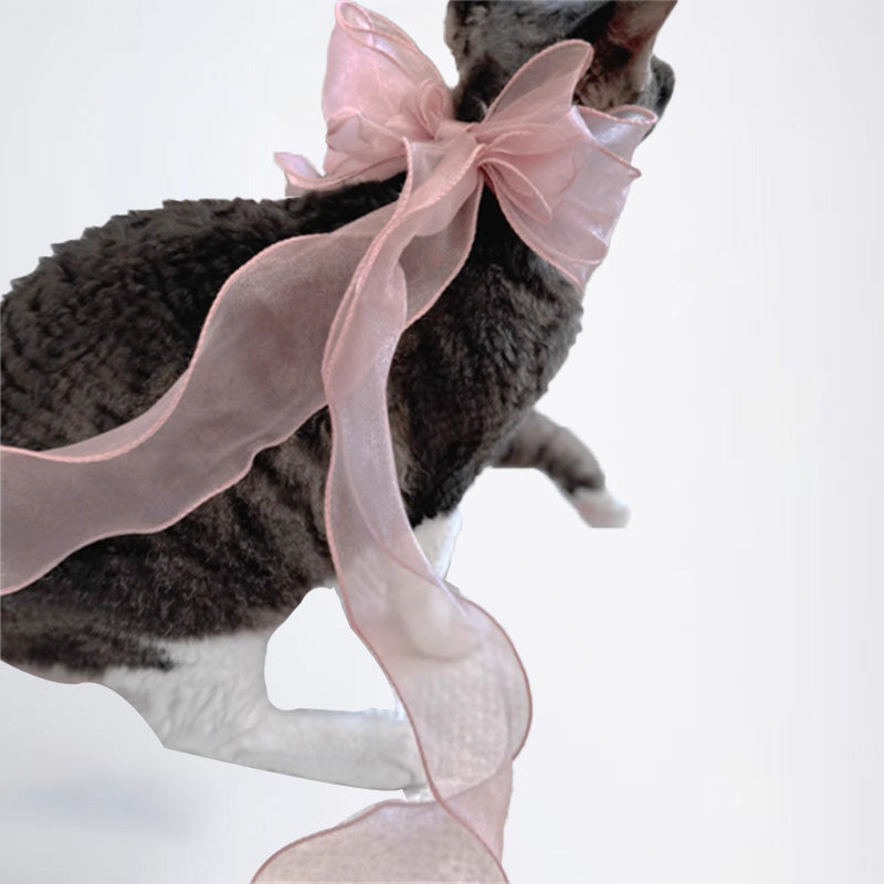 Cats Clothes Pets Cloth Pet Cloth Choker Sweater For Cats Original Designer Styled Clothing