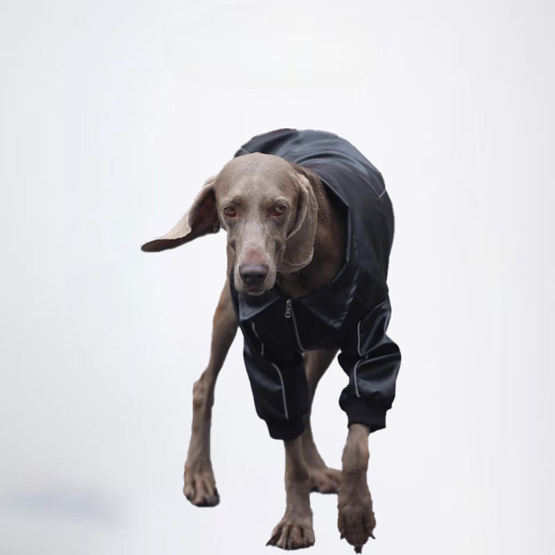 Winter Dogs Black Colored Clothes Pets Clothes Dog Cloth Dog Jacket Dog Jacket Fashion Dog Cloth Fashion Pets Cloth