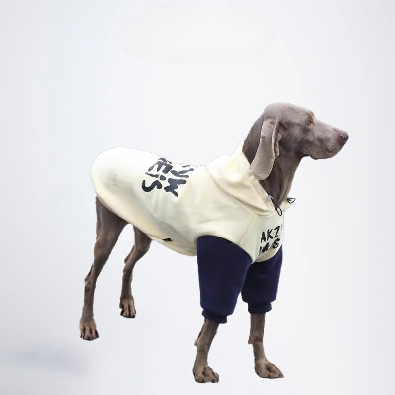 Dogs Clothes Pets Clothes Dogs Colors Matching Styled White And Blue Color Half Covered Styled Deisign Fashion Designer Dogs Clothes