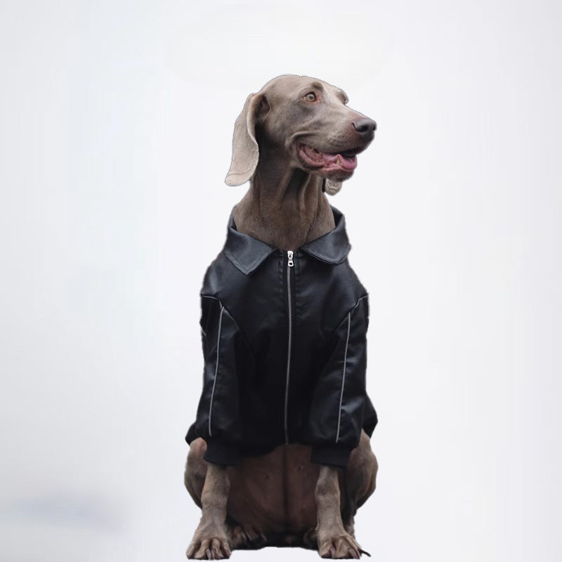 Winter Dogs Black Colored Clothes Pets Clothes Dog Cloth Dog Jacket Dog Jacket Fashion Dog Cloth Fashion Pets Cloth