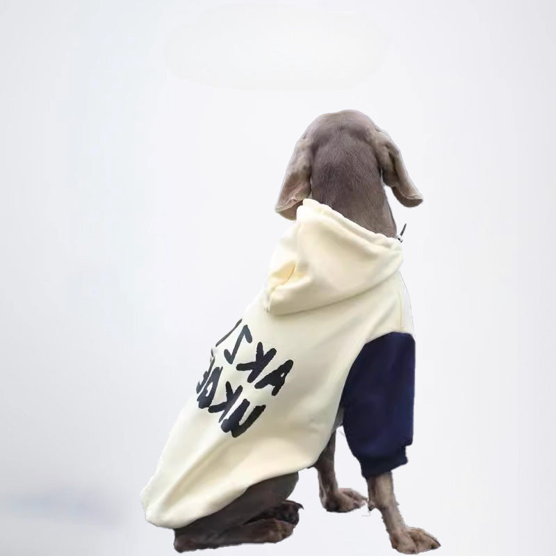 Dogs Clothes Pets Clothes Dogs Colors Matching Styled White And Blue Color Half Covered Styled Deisign Fashion Designer Dogs Clothes