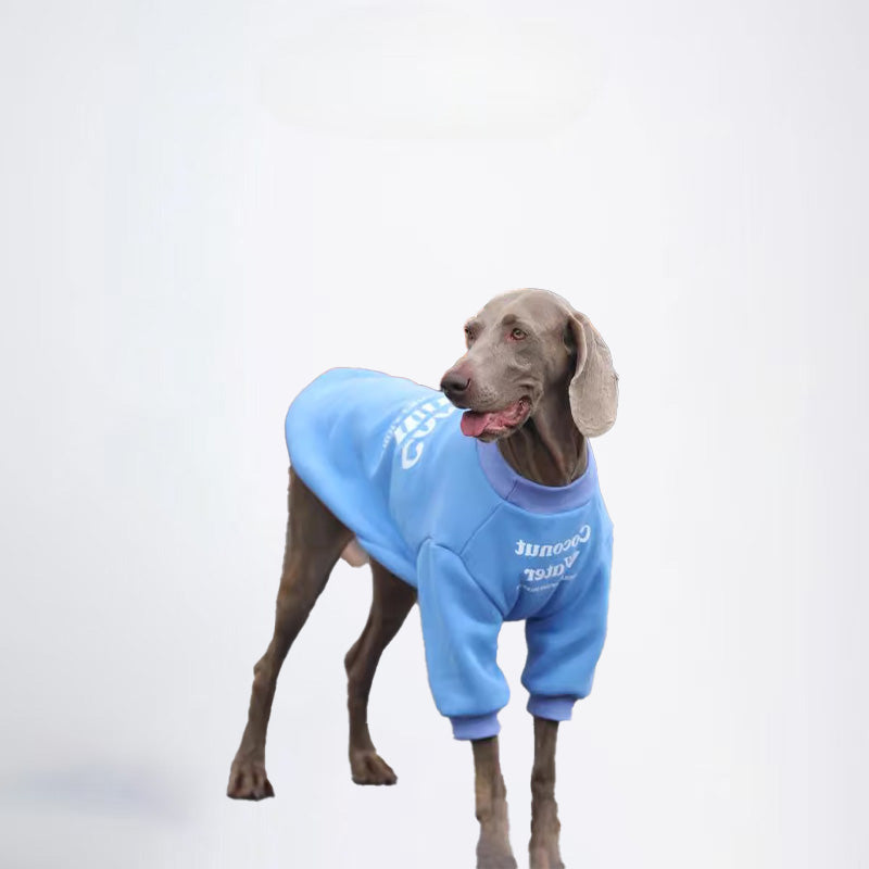 Winter Dogs Blue Colored Clothes Pets Blue Clothes Dog Cloth Dog Jacket Dog Jacket Fashion Dog Cloth Fashion Pets Cloth