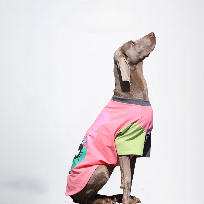 Pets Clothes Dog Cloth Dog Jacket All Covered Cloth Dopamine Color Dog Jacket Fashion Dog Cloth Fashion Pets Cloth