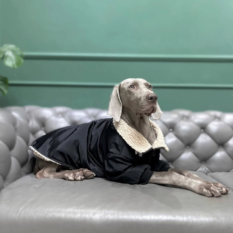 Pet dog cloth Dog outdoor jacket Winter Dog Clothing Pets Clothes Black, suitable for a birthday banquet. It features an elegant and backless design with a socialite style.