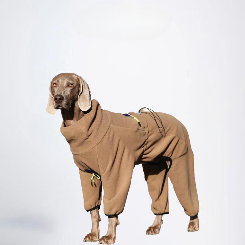 Dogs Green Clothes Pets Clothes Dogs Sweater Glossy Styled For Winter Allcovered Styled Sweater Styled Deisign Fashion Designer Dogs Clothes