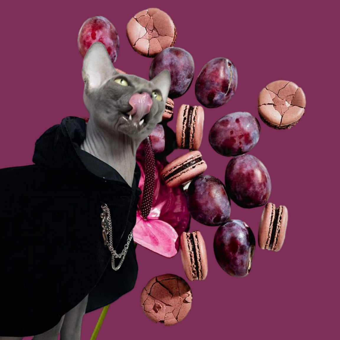 For Cat