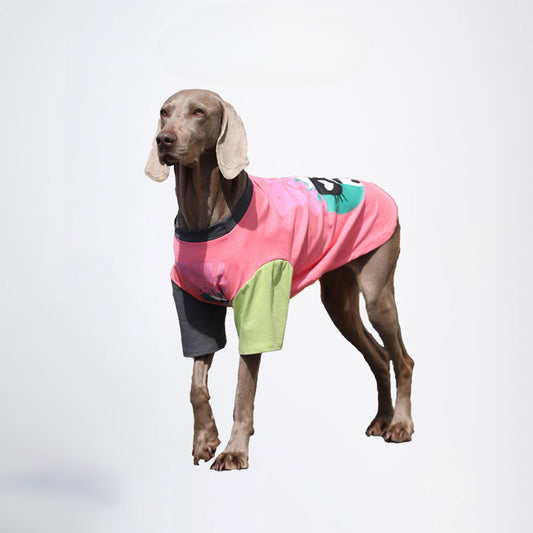 Pets Clothes Dog Cloth Dog Jacket All Covered Cloth Dopamine Color Dog Jacket Fashion Dog Cloth Fashion Pets Cloth