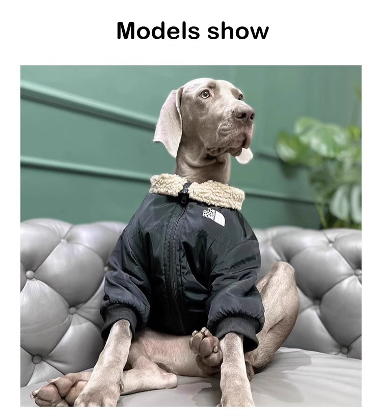 Pet dog cloth Dog outdoor jacket Winter Dog Clothing Pets Clothes Black, suitable for a birthday banquet. It features an elegant and backless design with a socialite style.