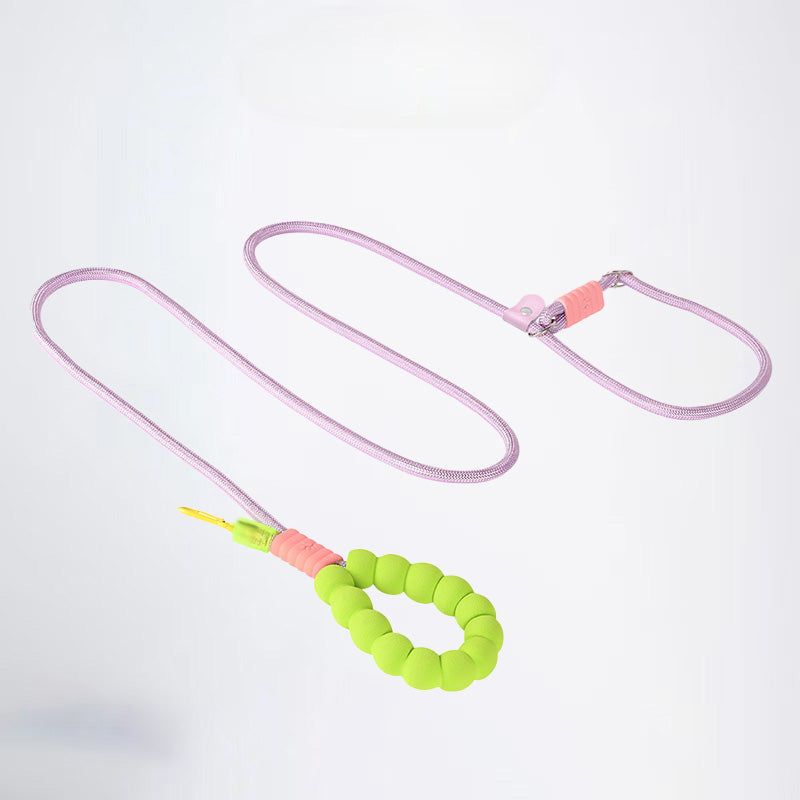 For the safety of pets, high-quality pet leashes will take care of your pet's every stroll