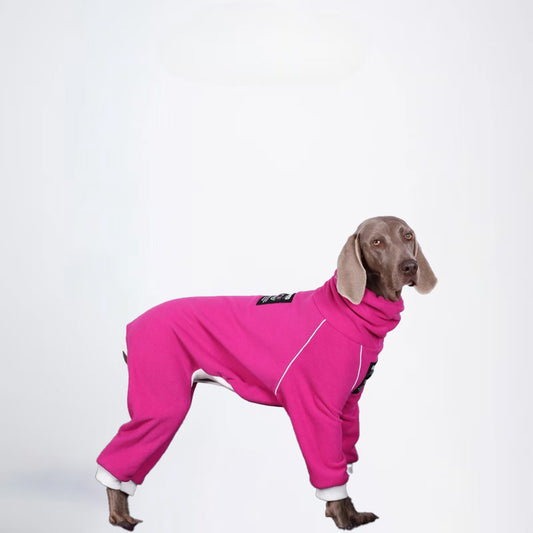 Dogs Clothes Pets Clothes Glossy Styled For Winter Allcovered Styled Sweater Styled Deisign Fashion Designer Dogs Clothes