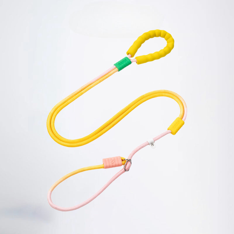Dog leash, pet leash, safe and comfortable, effective control of pet movements, let you share the happy time outdoors with your pet, to ensure that your pet is always safe on the side