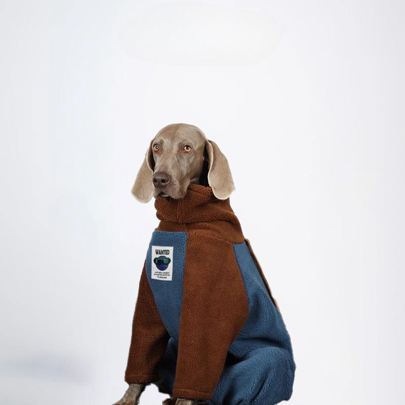 Dogs Clothes Pets Clothes Dogs Jacket Sweater Brown Sweater Winter Dogs Jackets Color All Covered Styled Deisign Fashion Designer Dogs Clothes