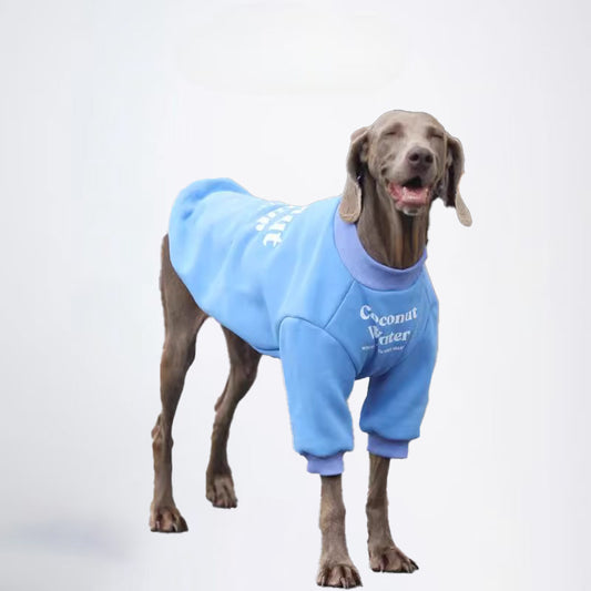 Winter Dogs Blue Colored Clothes  Pets Blue Clothes Dog Cloth Dog Jacket Dog Jacket Fashion Dog Cloth Fashion Pets Cloth
