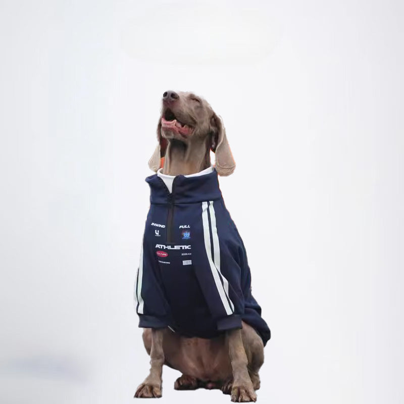 Dogs Blue Clothes Pets  Blue Clothes Glossy Styled For Winter Allcovered Styled Sweater Styled Deisign Fashion Designer Dogs Clothes
