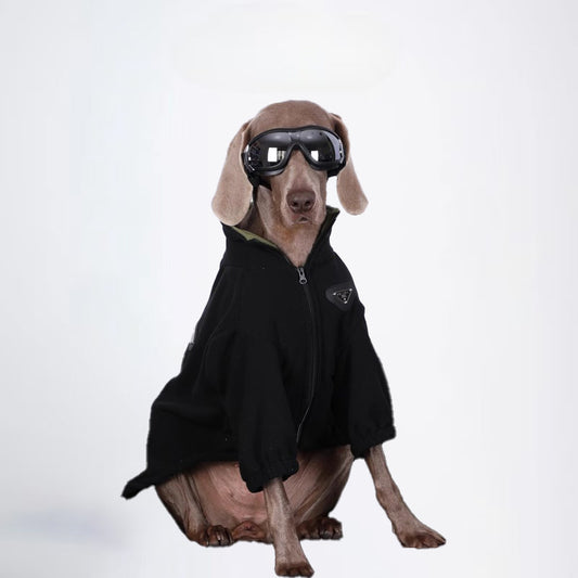 Winter Dogs Clothes  Pets Clothes Dog Cloth Dog Jacket Dog Jacket Fashion Dog Cloth Fashion Pets Cloth