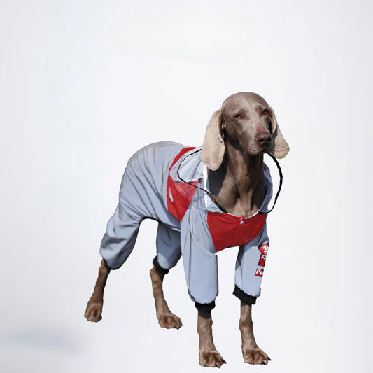 Dogs Raincoat Pets Raincoat Dog Cloth Dog Cloth  All Covered Cloth Dog Clothes Dog Jacket Fashion Dog Cloth Fashion Pets Cloth