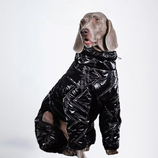 Dogs Clothes Pets Clothes For Winter Allcovered Styled Sweater Styled Deisign Fashion Designer Dogs Clothes