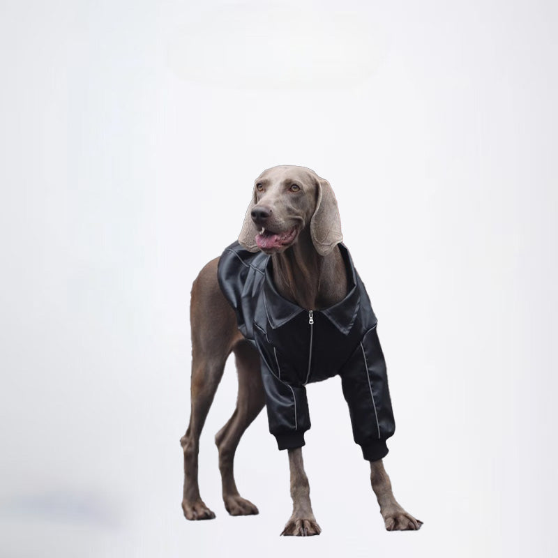 Winter Dogs Black Colored Clothes  Pets Clothes Dog Cloth Dog Jacket Dog Jacket Fashion Dog Cloth Fashion Pets Cloth