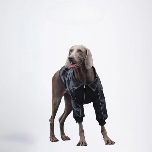 Winter Dogs Black Colored Clothes  Pets Clothes Dog Cloth Dog Jacket Dog Jacket Fashion Dog Cloth Fashion Pets Cloth