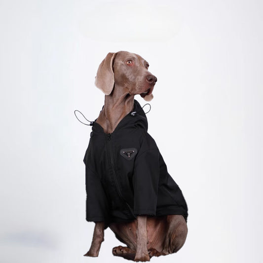 Dogs Clothes Pets Clothes Glossy Styled For Winter Allcovered Styled Sweater Styled Deisign Fashion Designer Dogs Clothes