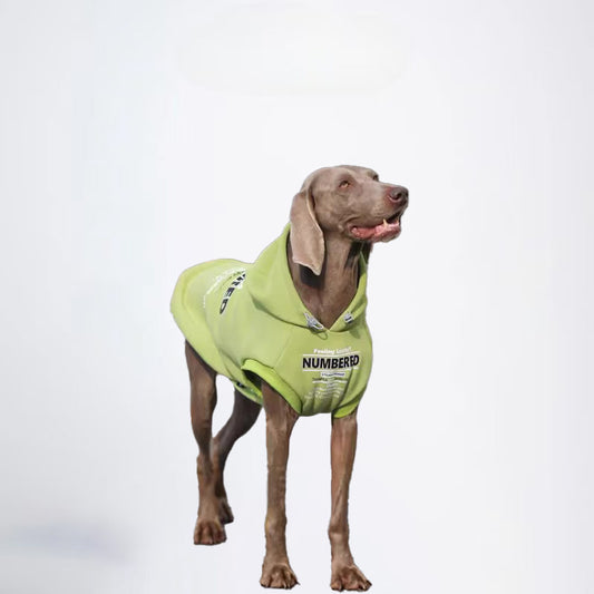 Winter Dogs Green Colored Clothes  Pets Green Clothes Dog Cloth Dog Jacket Dog Jacket Fashion Dog Cloth Fashion Pets Cloth