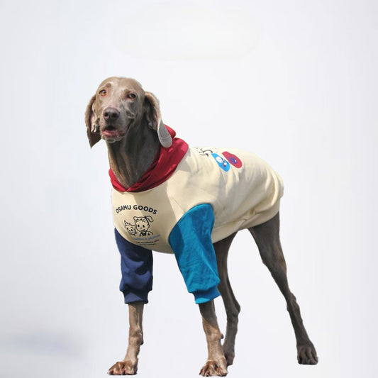 Dogs Yellow Clothes Pets Yellow Clothes Glossy Styled For Winter Allcovered Styled Sweater Styled Deisign Fashion Designer Dogs Clothes