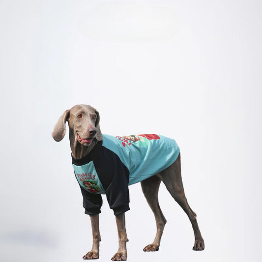 Dogs Blue Black Clothes Pets Blue Black Clothes Glossy Styled For Winter Allcovered Styled Sweater Styled Deisign Fashion Designer Dogs Clothes