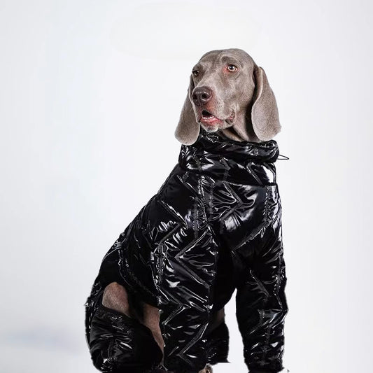 Dogs Clothes Pets Clothes Dogs Sweater Glossy Styled For Winter Allcovered Styled Sweater Styled Deisign Fashion Designer Dogs Clothes