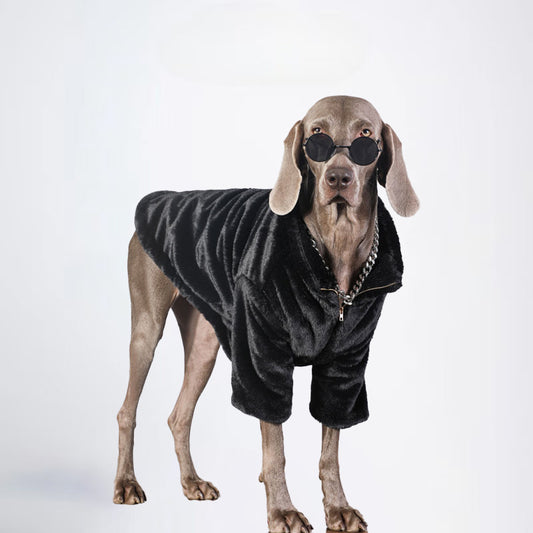 Dogs Clothes Pets Clothes Dogs Black Coats For Winter Allcovered Styled Sweater Styled Deisign Fashion Designer Dogs Clothes