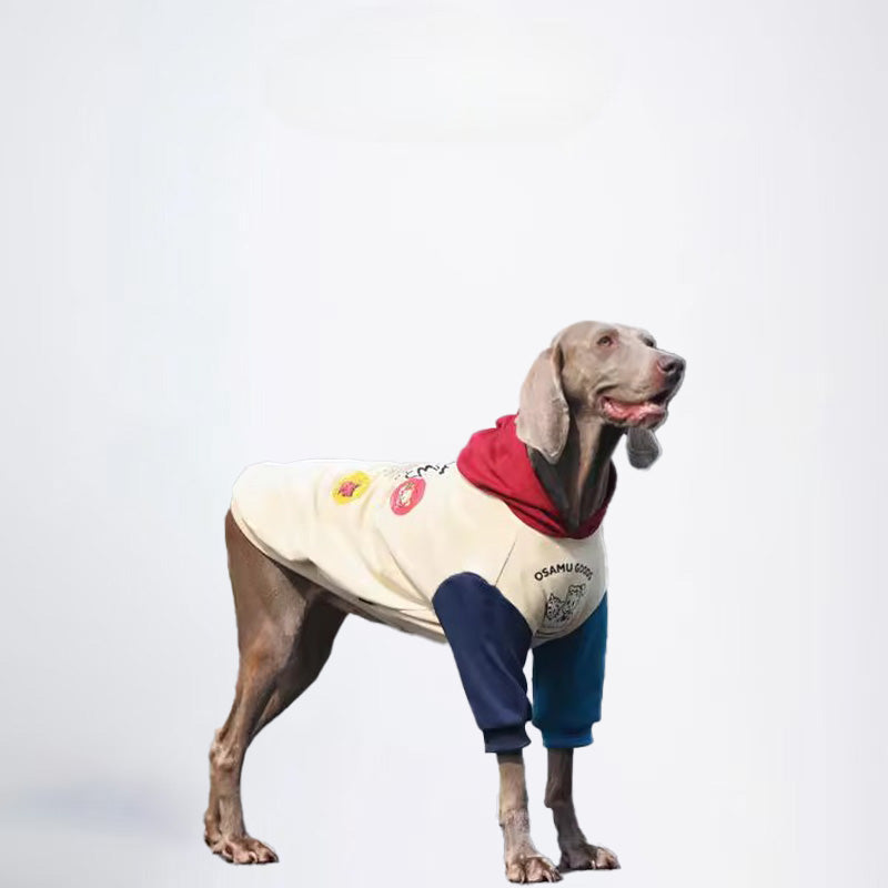 Dogs Yellow Clothes Pets Yellow Clothes Glossy Styled For Winter Allcovered Styled Sweater Styled Deisign Fashion Designer Dogs Clothes