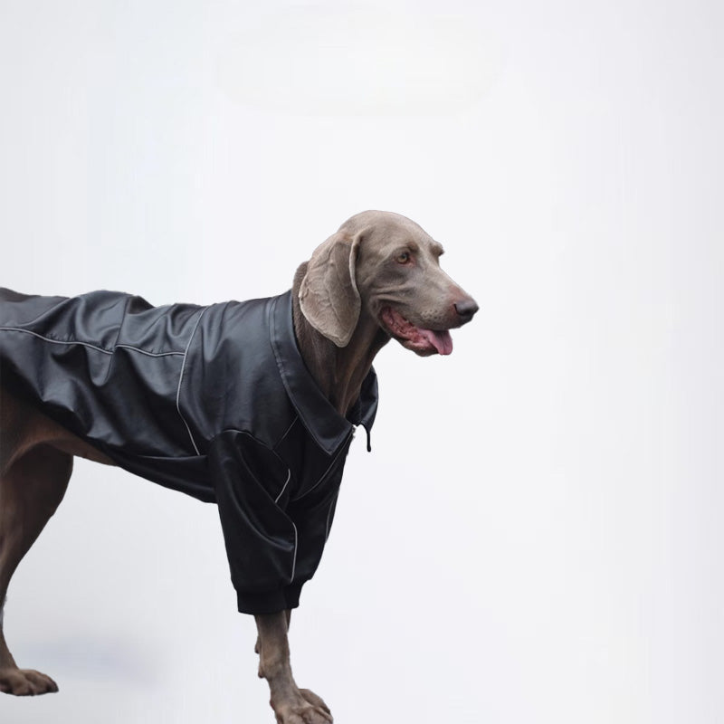 Winter Dogs Black Colored Clothes  Pets Clothes Dog Cloth Dog Jacket Dog Jacket Fashion Dog Cloth Fashion Pets Cloth